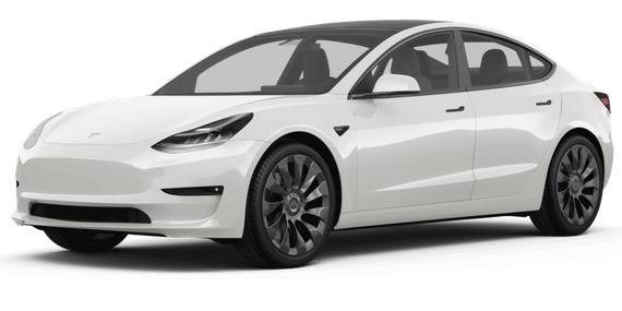 TESLA MODEL 3 2023 5YJ3E1EA7PF456336 image